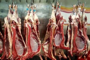 چالش گوشت قرمز
