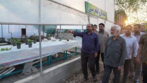 پیشرفت در خرماکُلا است نه در شرم‌الشیخ
