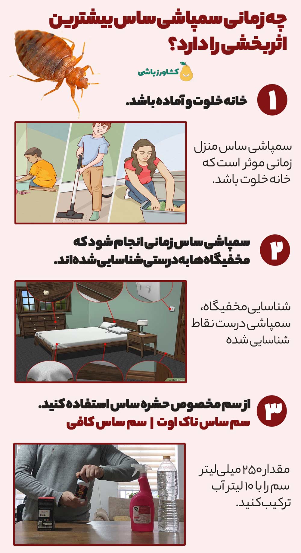 چه زمانی سمپاشی ساس بیشترین اثربخشی را دارد؟ راهنمای حرفه‌ای گام‌به‌گام