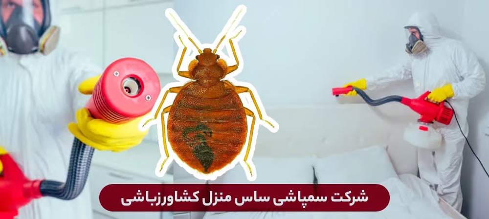 روش سمپاشی اصولی ساس