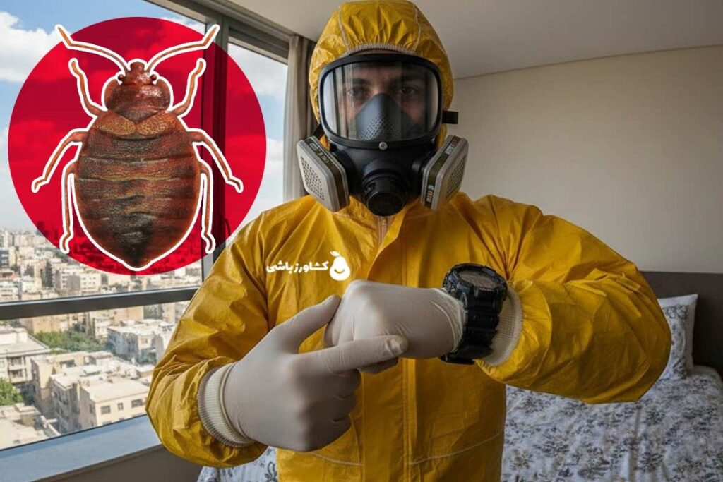 بهترین زمان سمپاشی ساس طبق نظر شرکت سمپاشی ساس کشاورزباشی