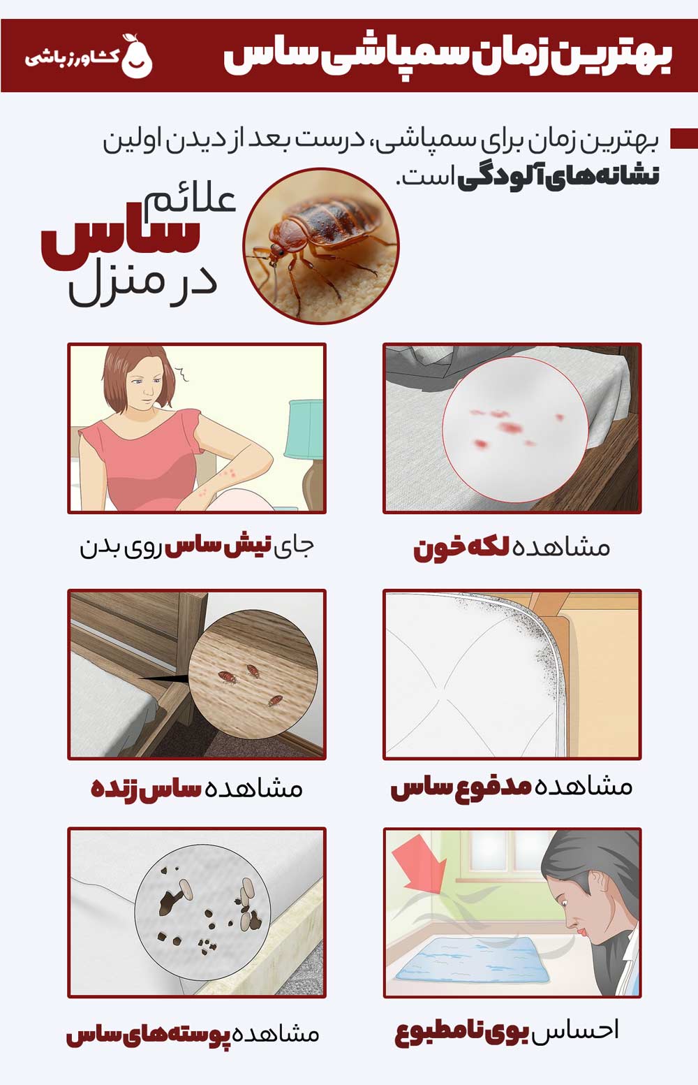 علائم ساس در منزل - شرکت سمپاشی ساس کشاورزباشی